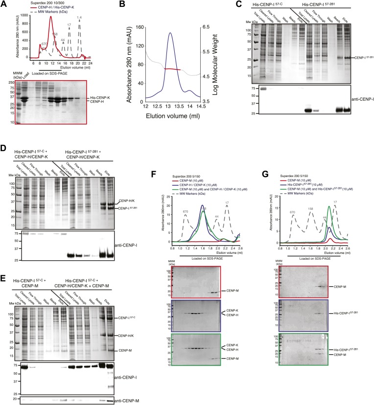 Figure 2—figure supplement 1.