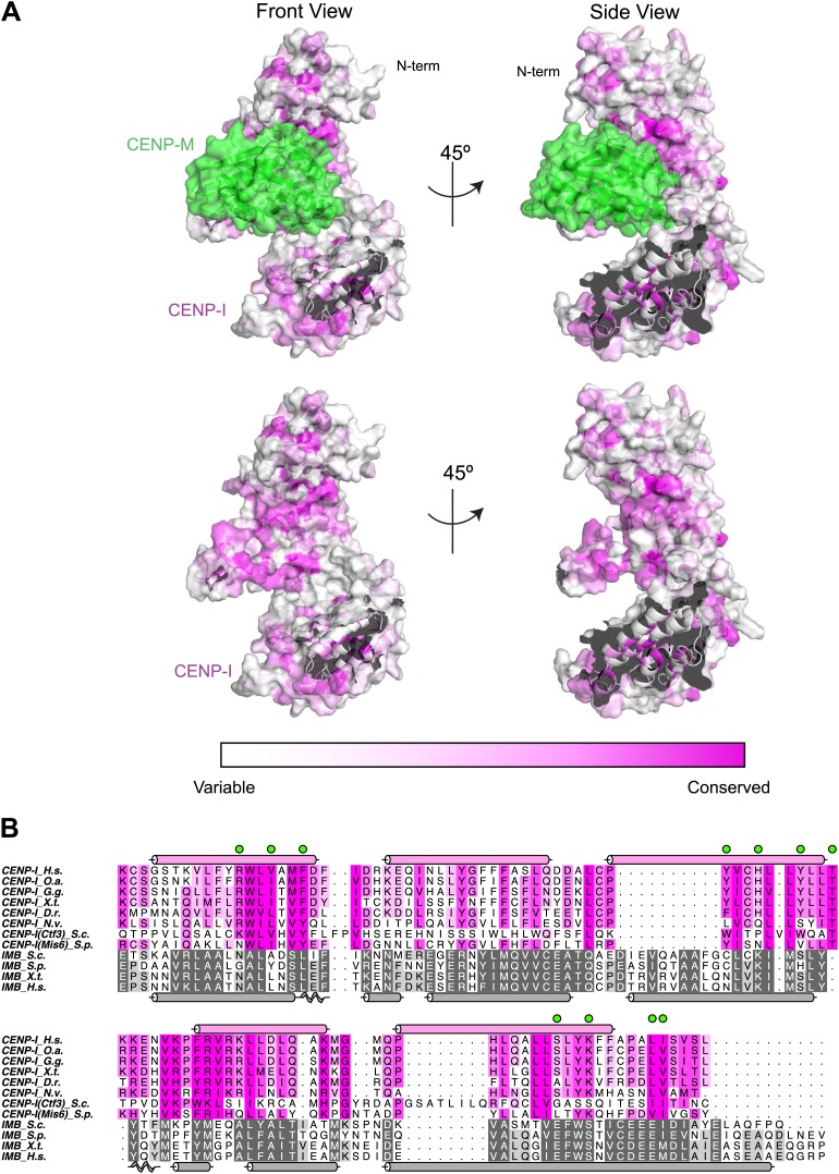 Figure 4—figure supplement 2.