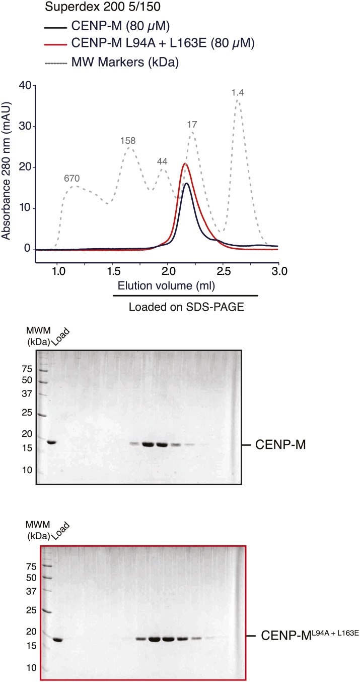 Figure 5—figure supplement 1.