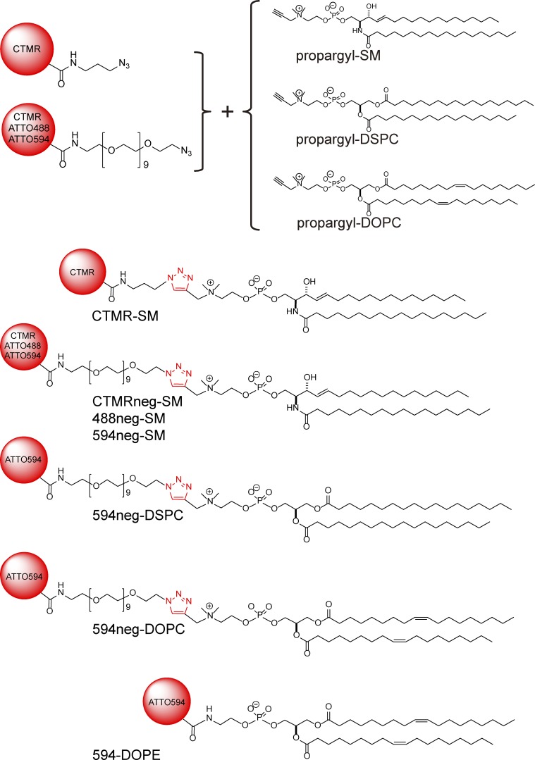 Figure 1.