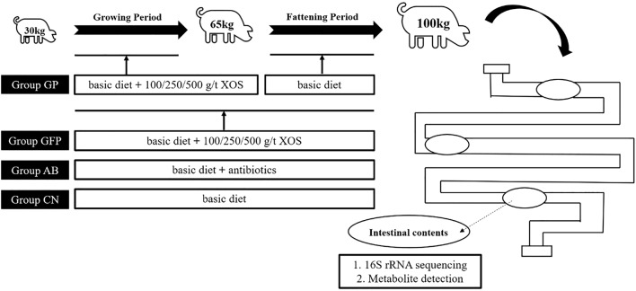 Fig. 1