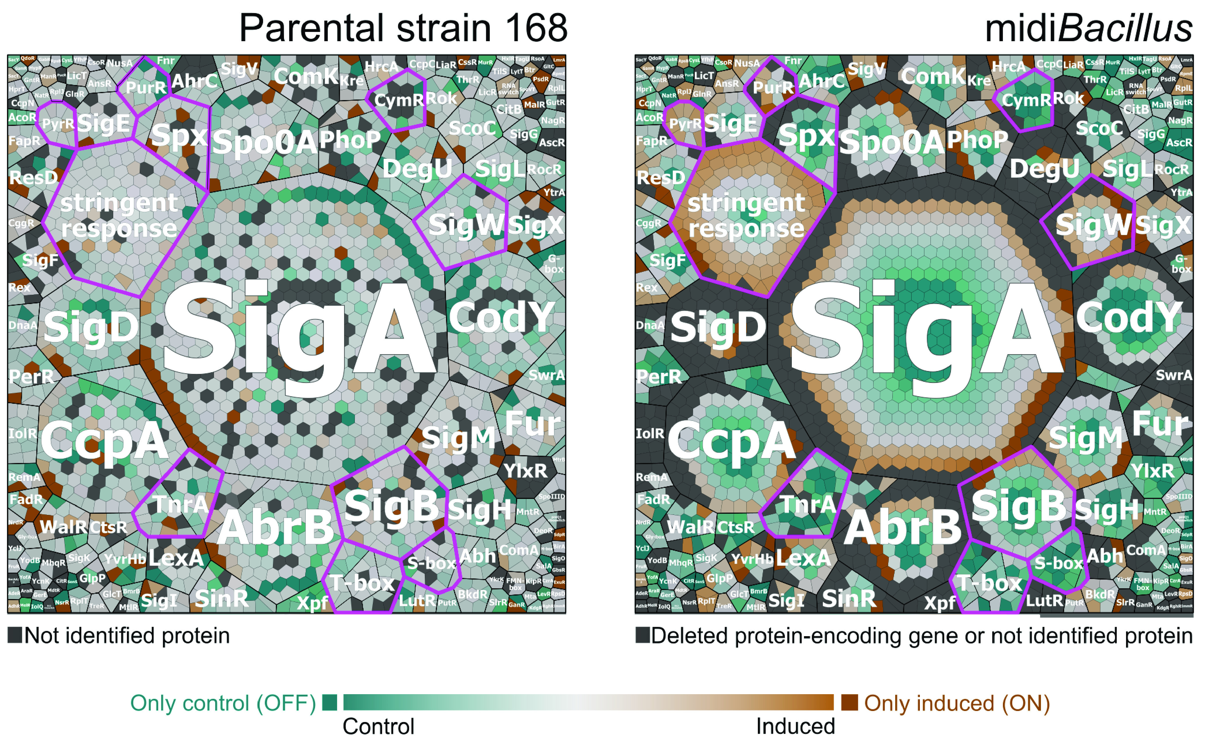 FIG 9