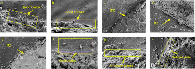 Fig. 13