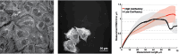 Figure 2—figure supplement 4.