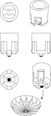 Figure 1—figure supplement 7.