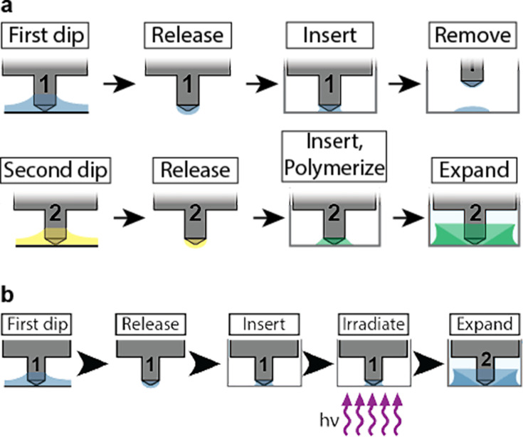 Figure 1—figure supplement 2.