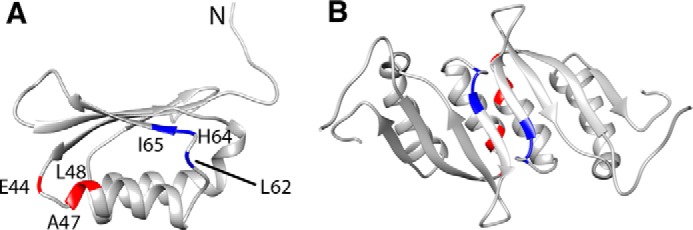 FIGURE 5.