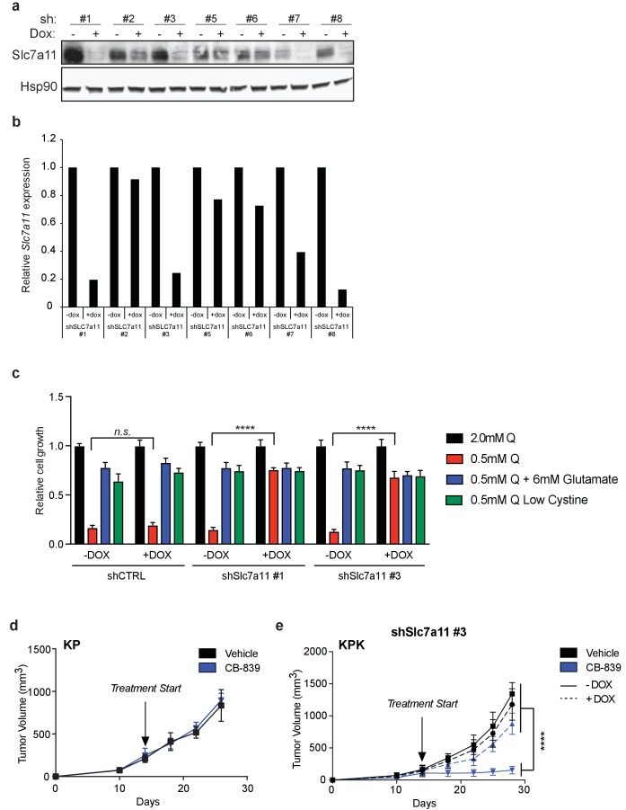 Figure 2—figure supplement 2.