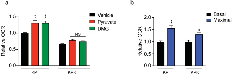 Figure 3—figure supplement 3.