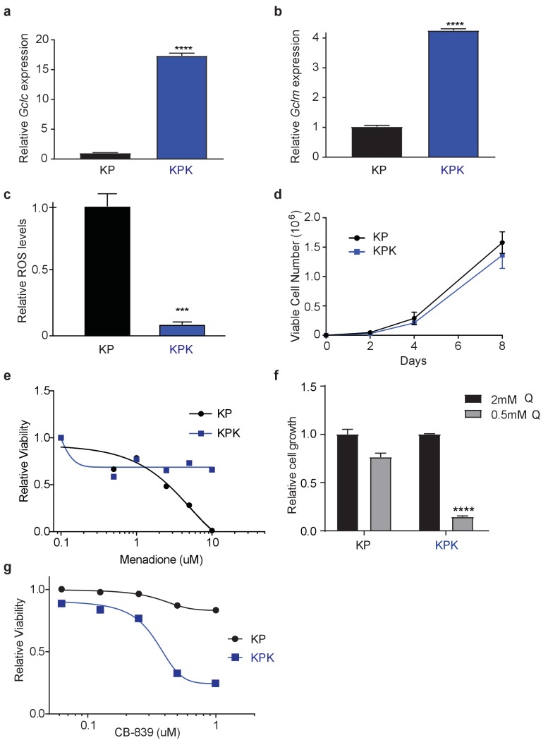 Figure 1—figure supplement 1.