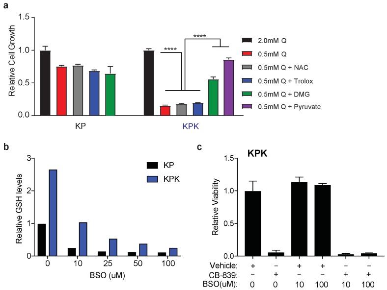 Figure 3—figure supplement 1.