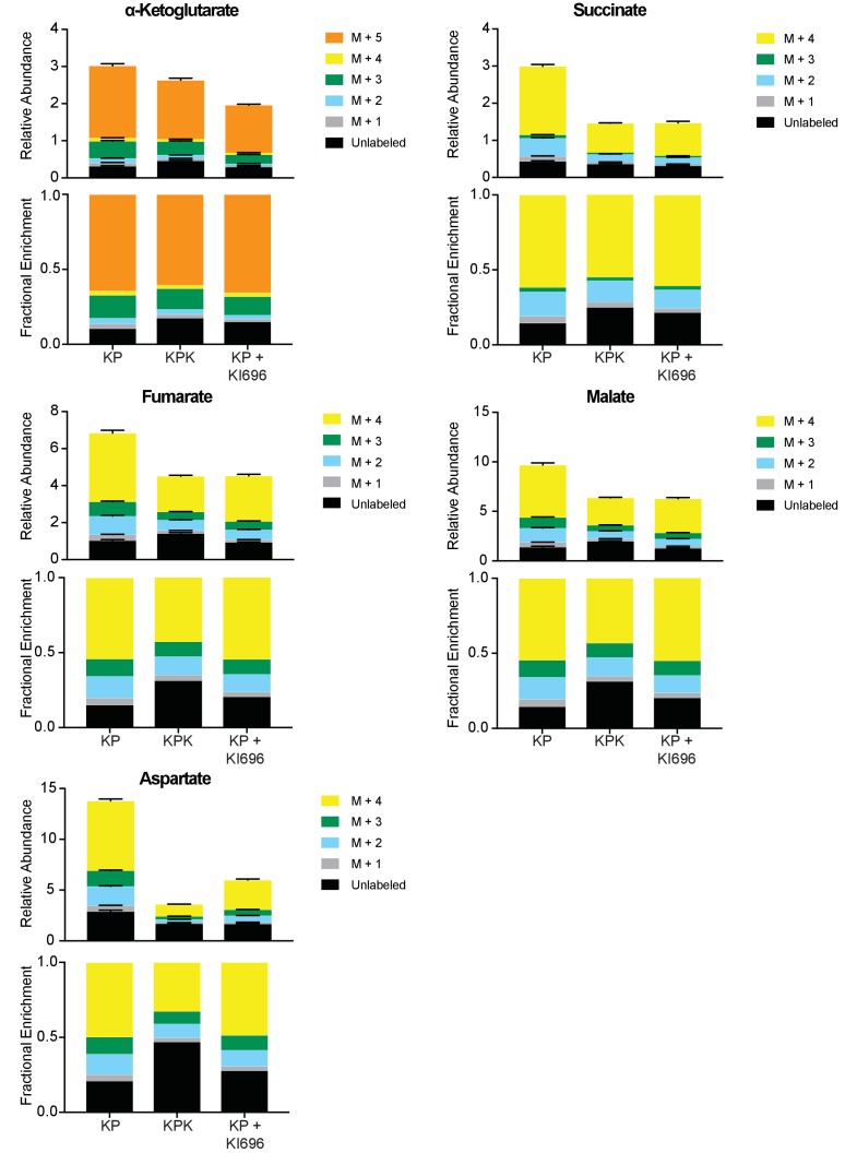 Figure 3—figure supplement 2.