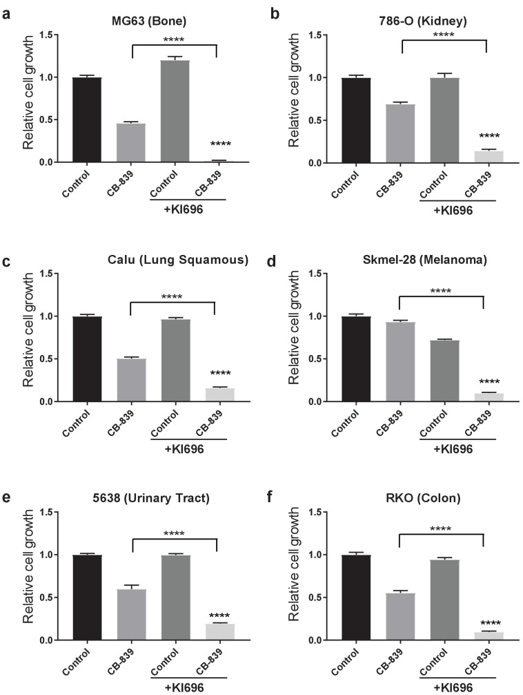 Figure 5—figure supplement 1.