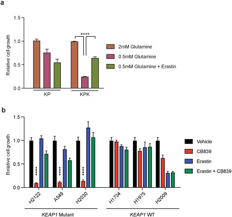 Figure 2—figure supplement 1.