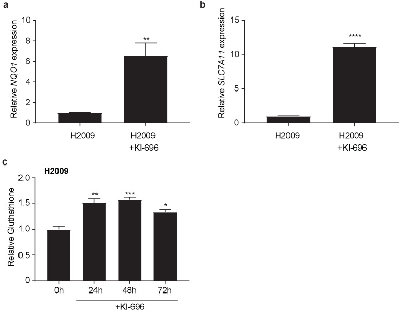 Figure 4—figure supplement 2.