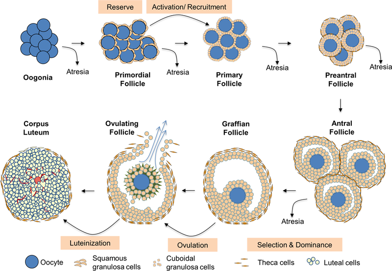 Figure 1: