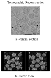 Figure 2a