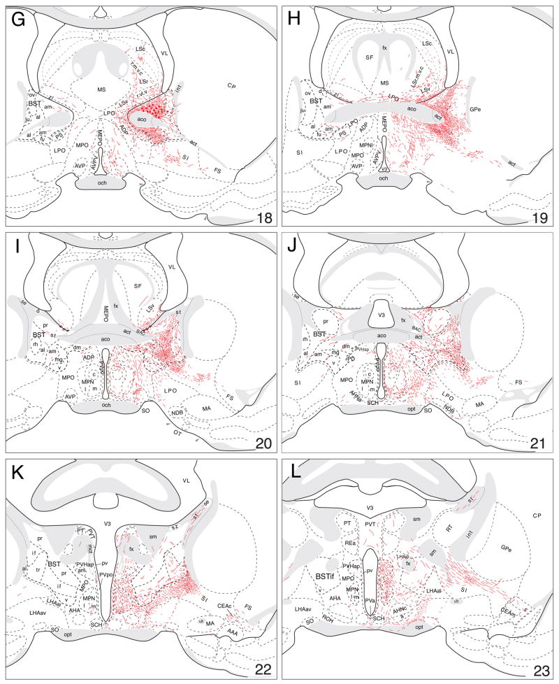 Fig. 9