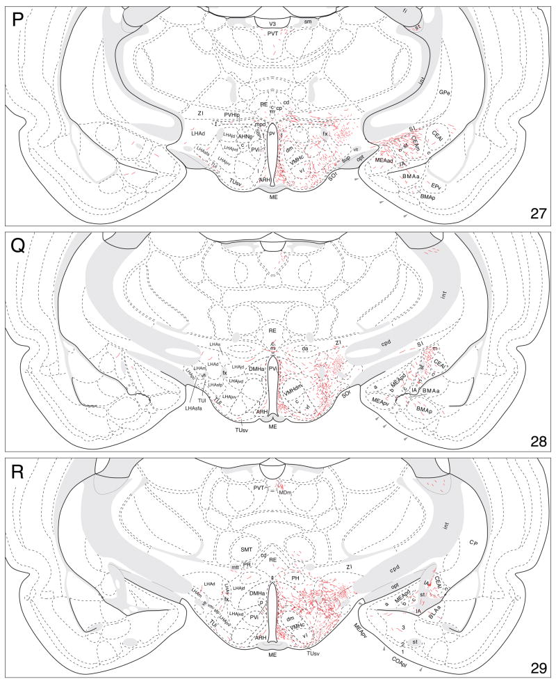 Fig. 9