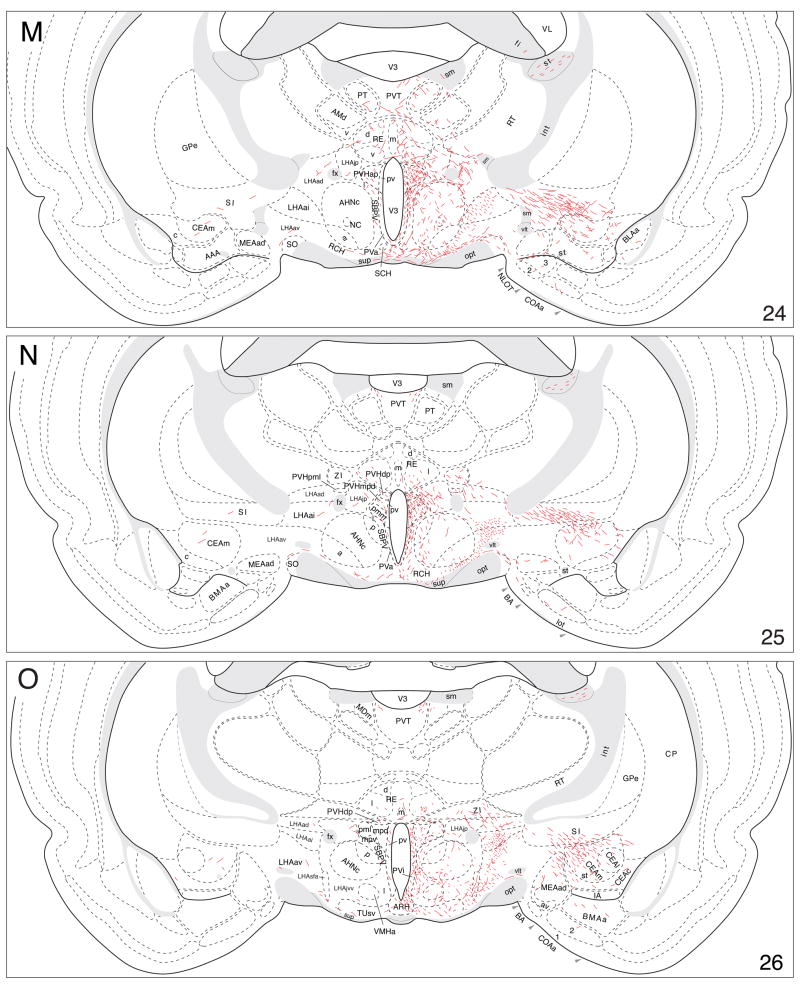 Fig. 9