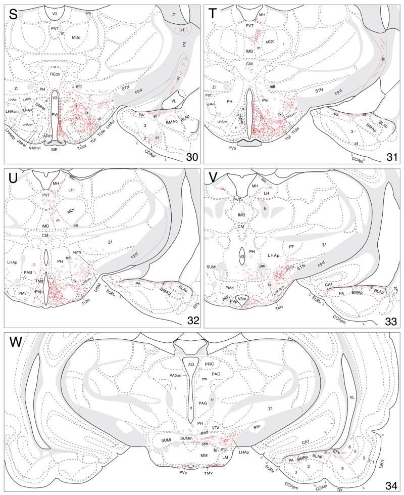 Fig. 9