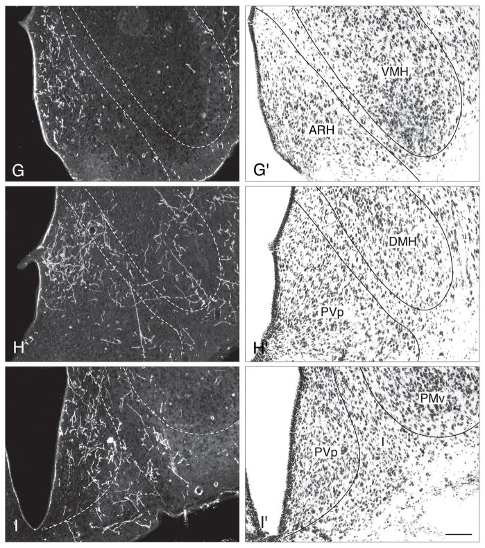 Fig. 10