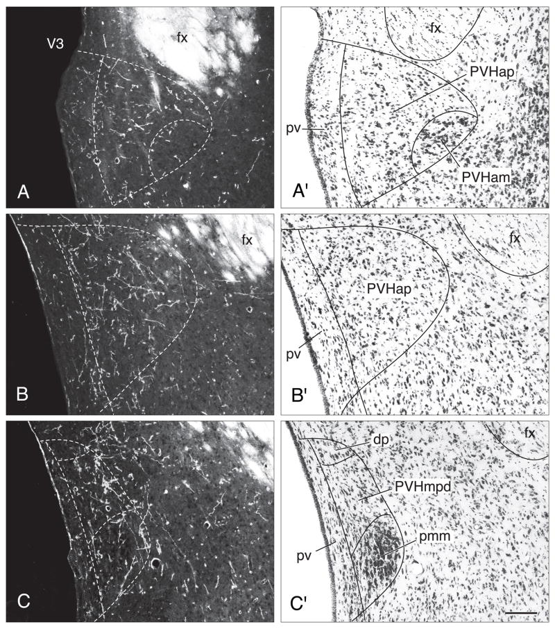 Fig. 10