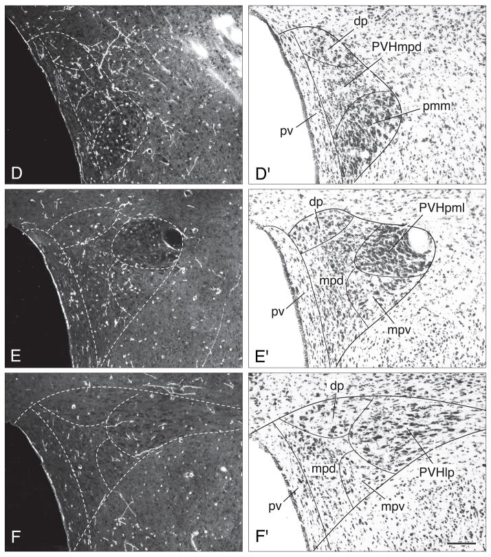 Fig. 10