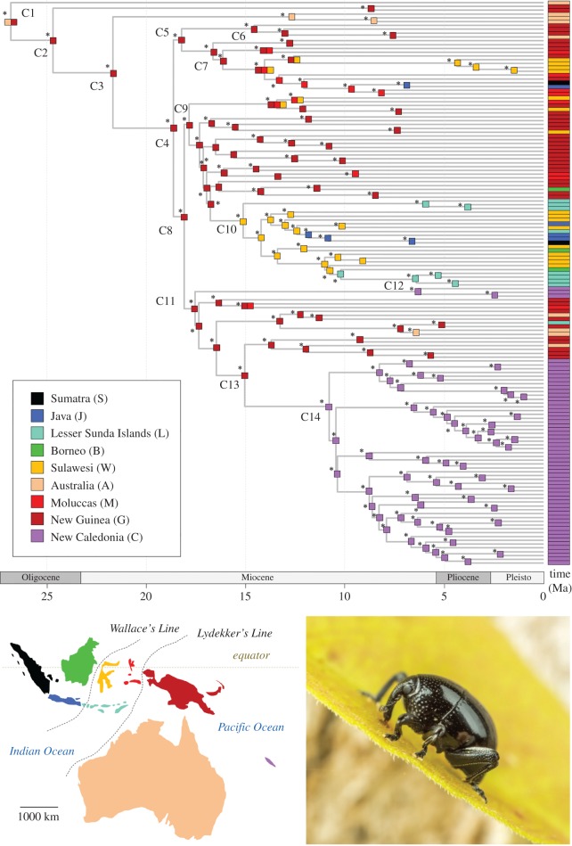 Figure 3.