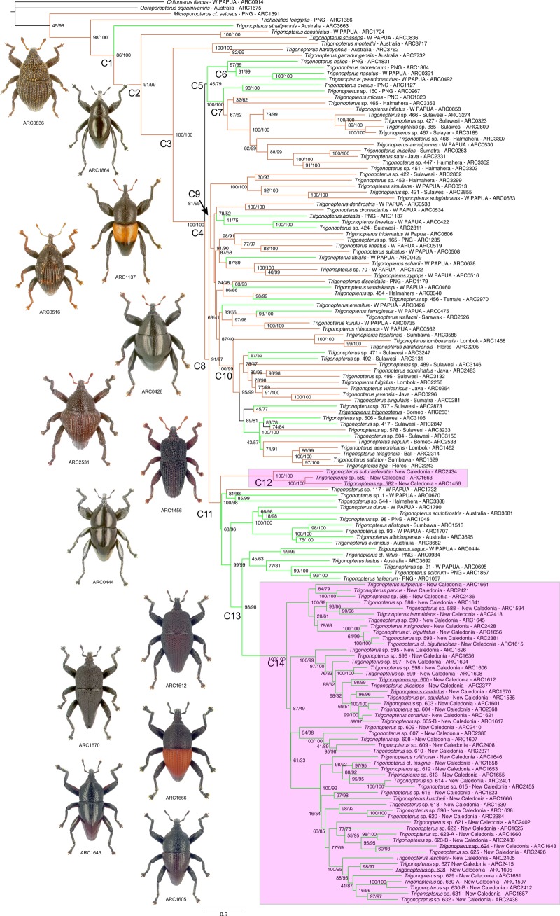 Figure 2.