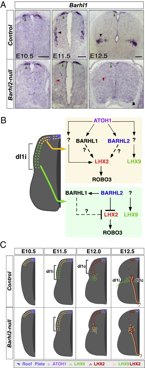 Fig. 5.