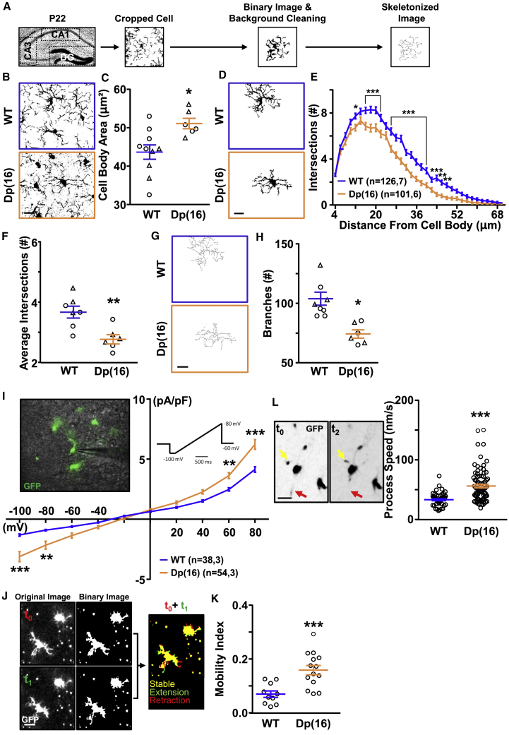 Figure 1