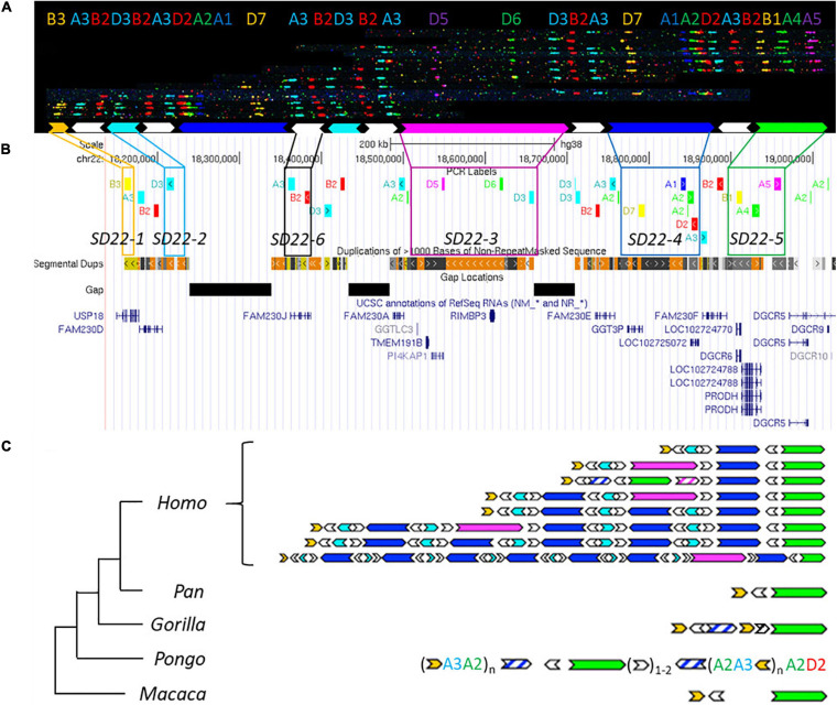 FIGURE 3