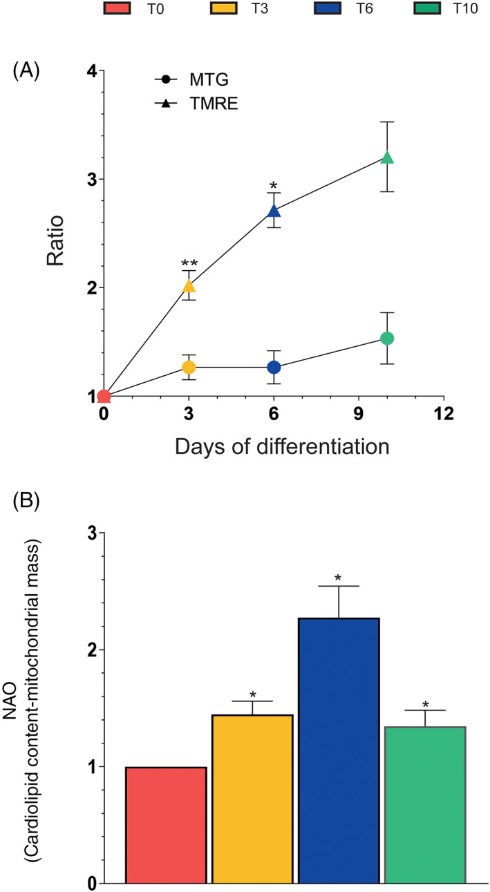 FIGURE 3