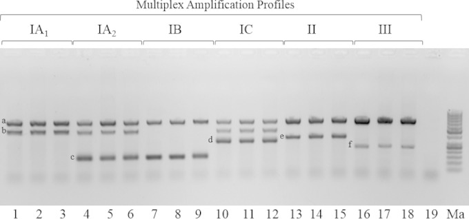 FIG 1