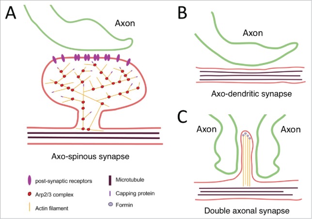 Figure 3.