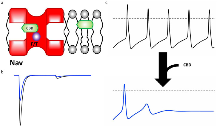 Figure 7.