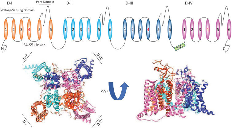 Figure 1.