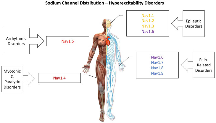 Figure 4.