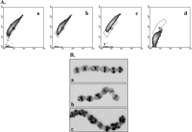 FIG. 5.