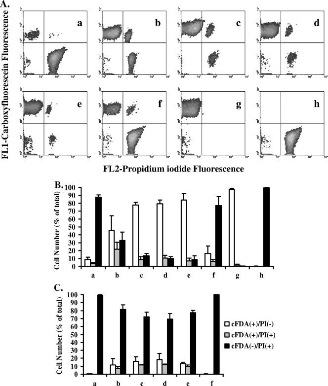 FIG. 2.