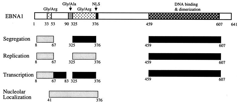 FIG. 9.