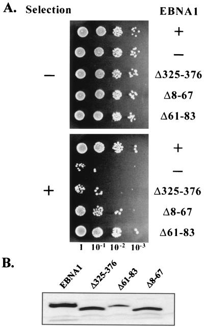 FIG. 5.