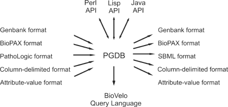 Figure 13: