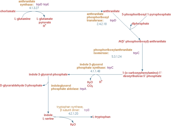 Figure 5: