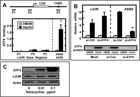 FIGURE 2.