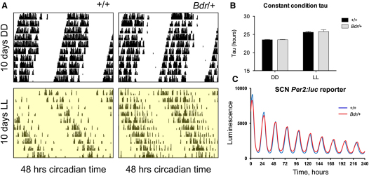 Figure 3