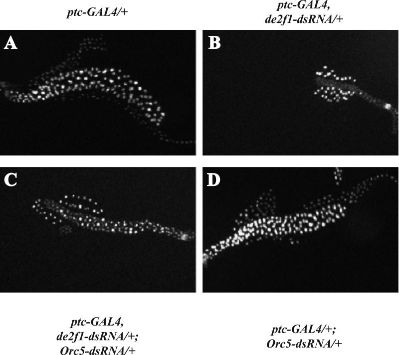 FIGURE 3