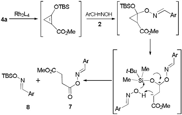 Scheme 2