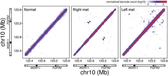 Fig. 1